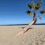 La Pinede